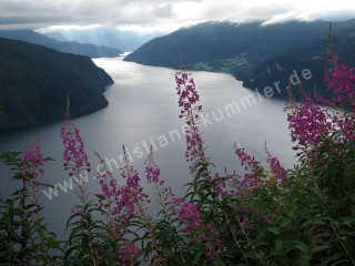 Nordfjord Nordfjord